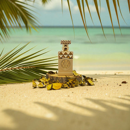 Minya Coco Lush – Paris Corner (Unisex)