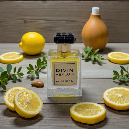 Divin Asylum – French Avenue (Hombre)